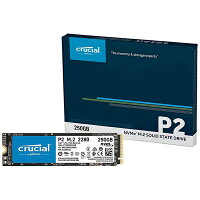 crucial M.2 SSD CT250P2SSD8JP